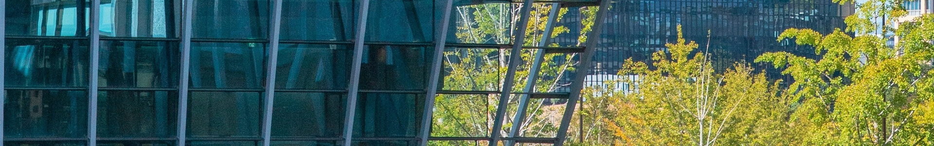 <strong>招标信息</strong>